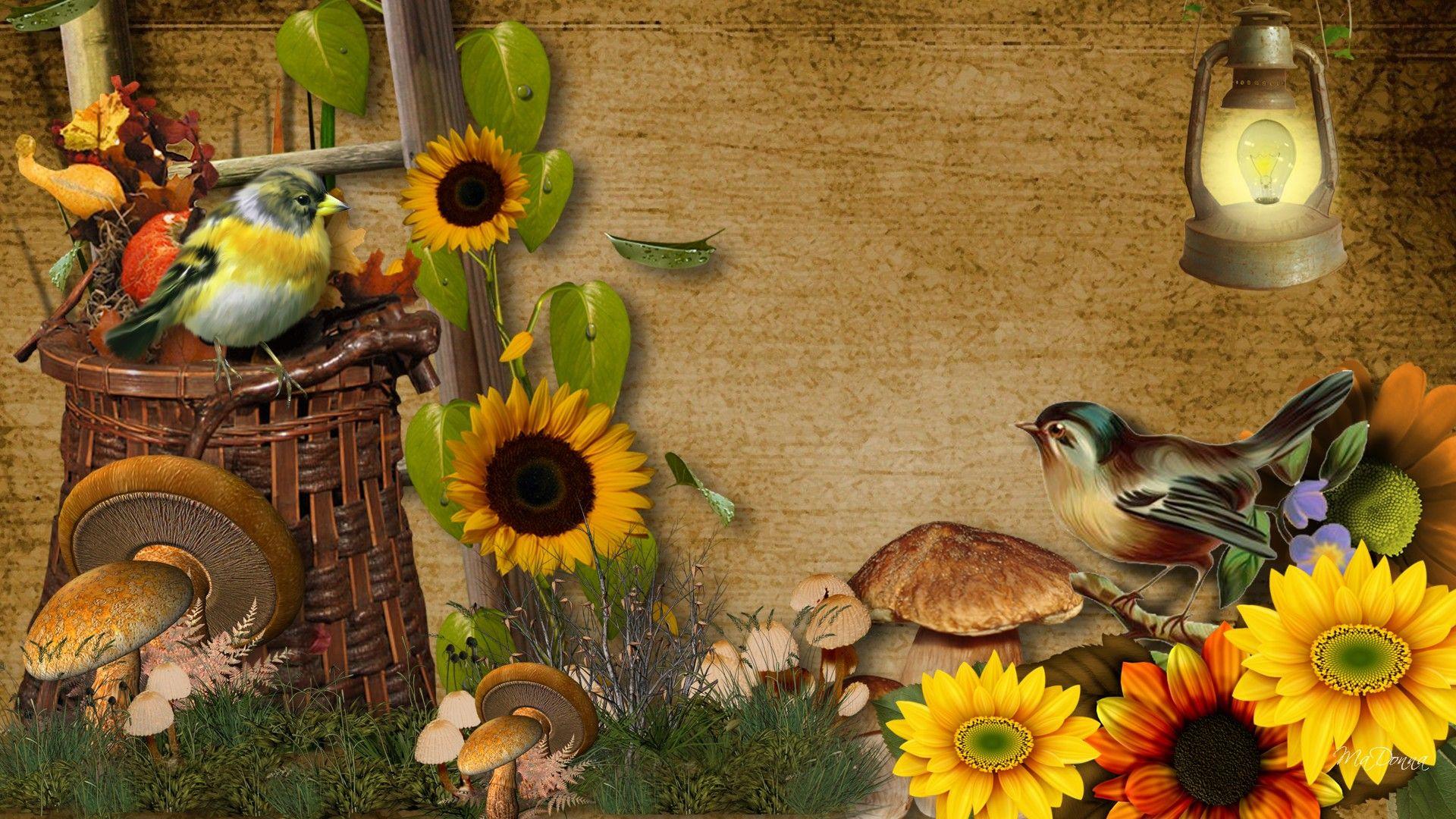 1920x1080 Download Fall Harvest Wallpaper HD For Widescreen Wallpaper > SubWallpaper