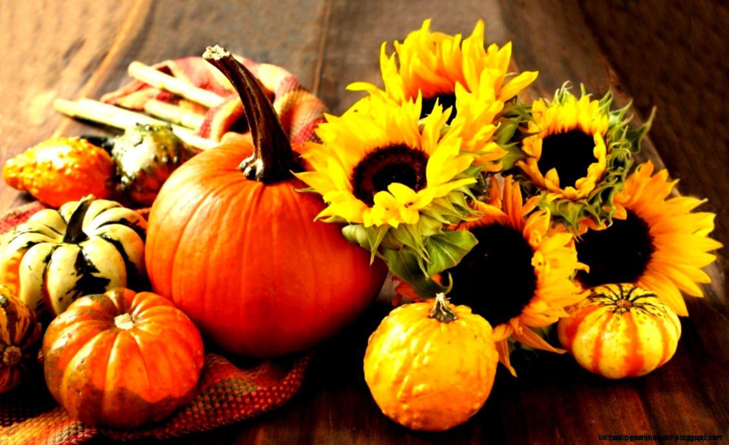 1436x878 Fall Pumpkin Wallpaper HD