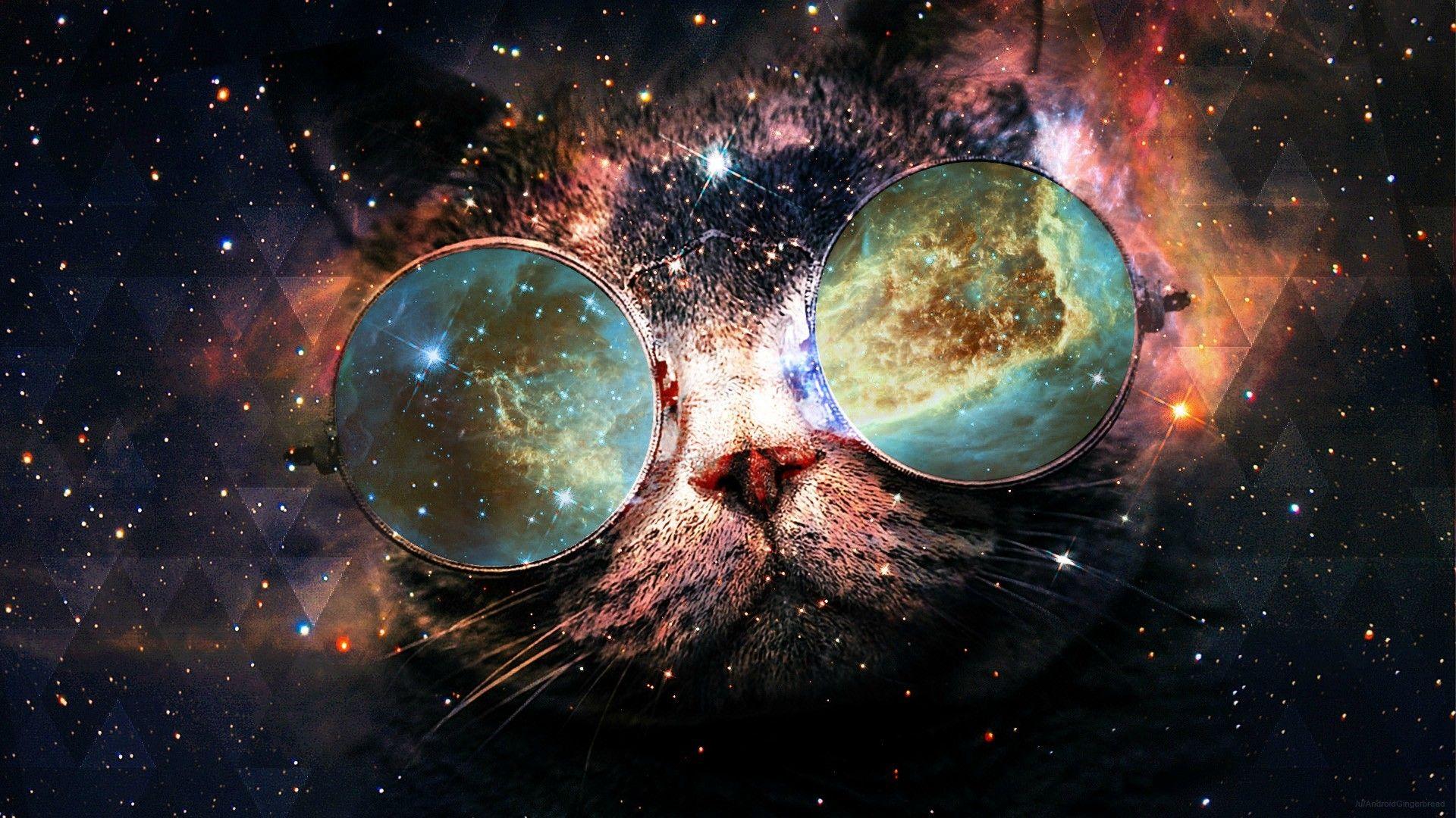 1920x1080 Space Cat Wallpaper. Background. Photo. Image. Picture