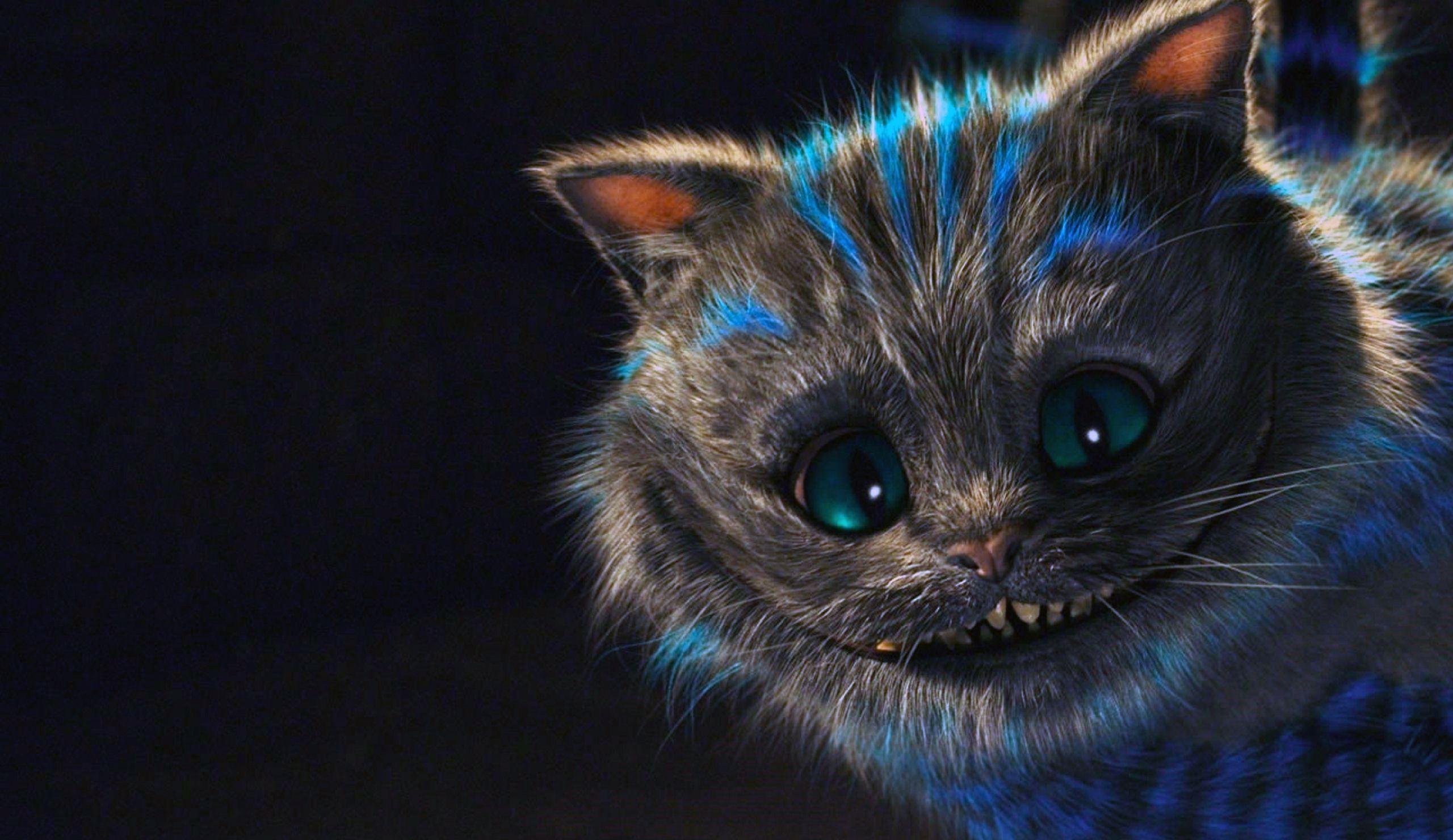 2560x1480 Cheshire Cat Wallpaper Tumblr Wallpaper For Laptop