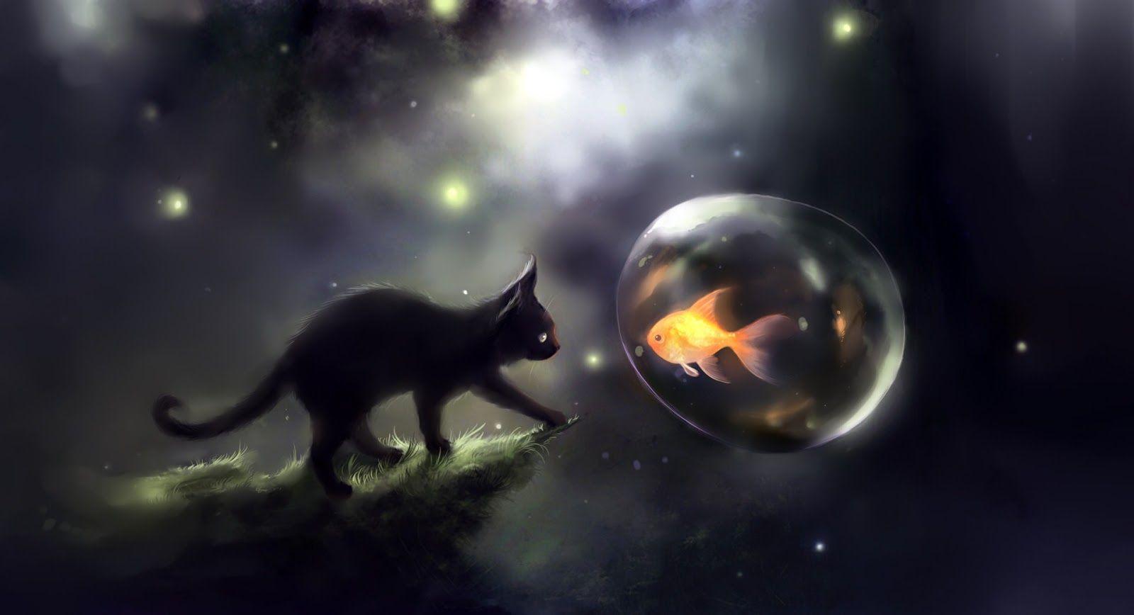 1600x868 Beautiful Cat Wallpaper: Black Cat and Goldfish Wallpaper