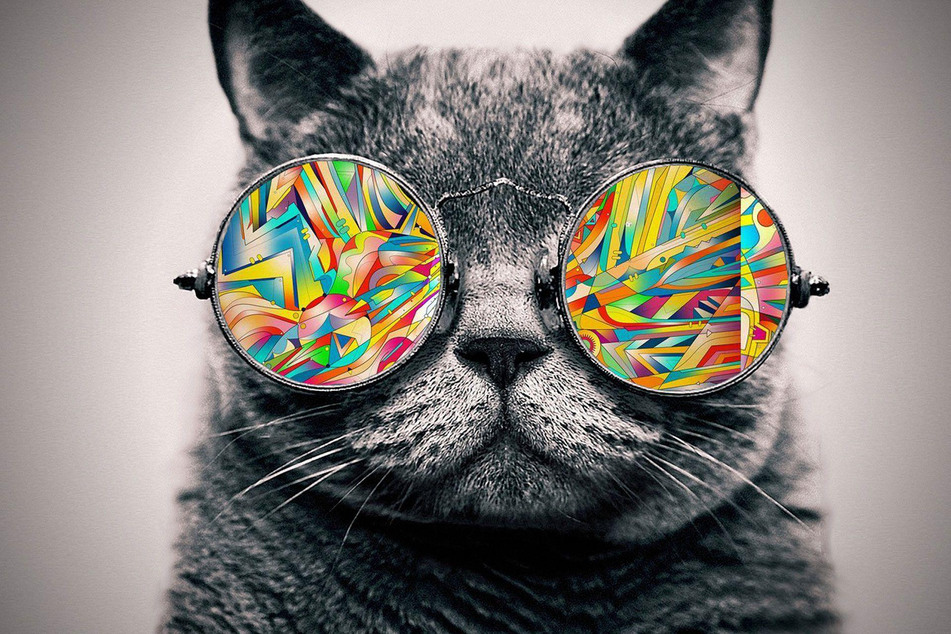 Trippy Cat Wallpapers - Top Free Trippy Cat Backgrounds - WallpaperAccess