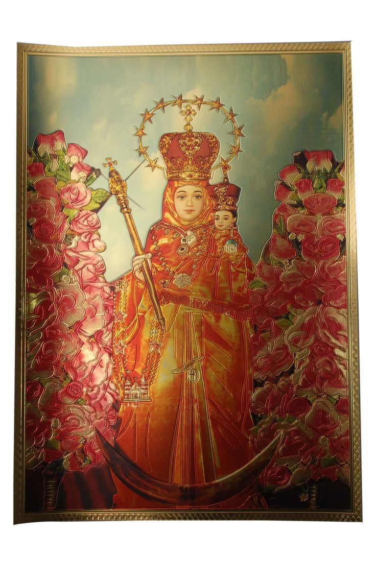 736x1099 Download Picture Velankanni Matha Matha On Itl.cat