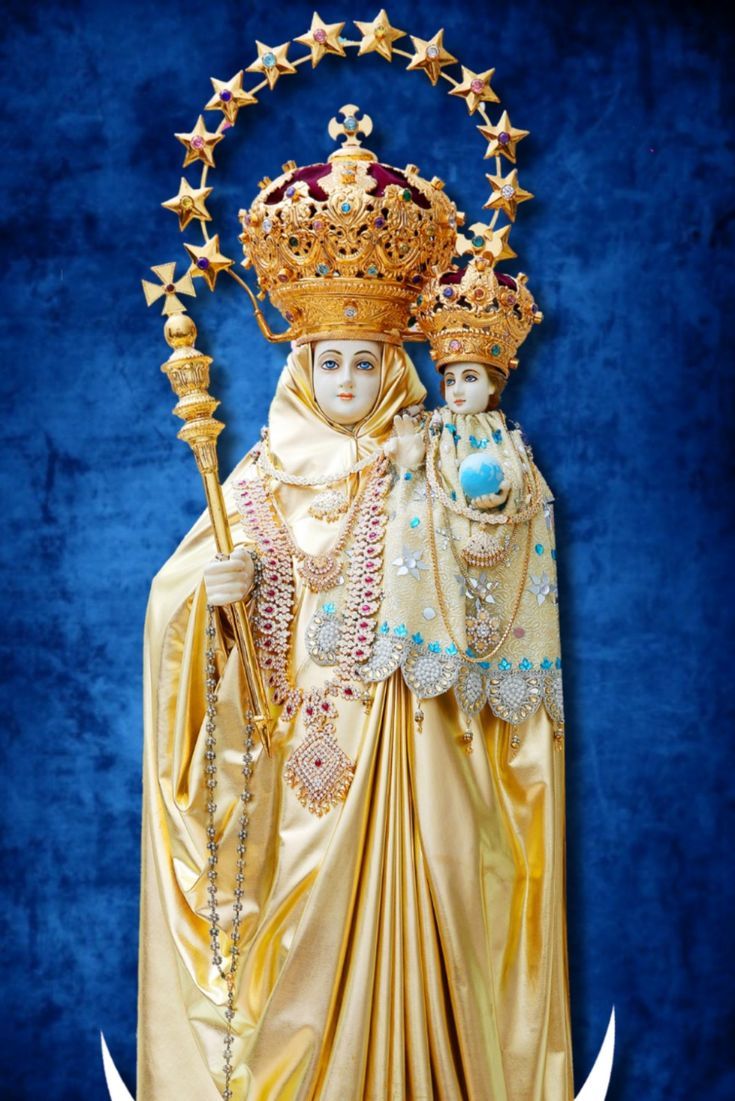 735x1101 AROKIYA Matha photo / velakanni Madha