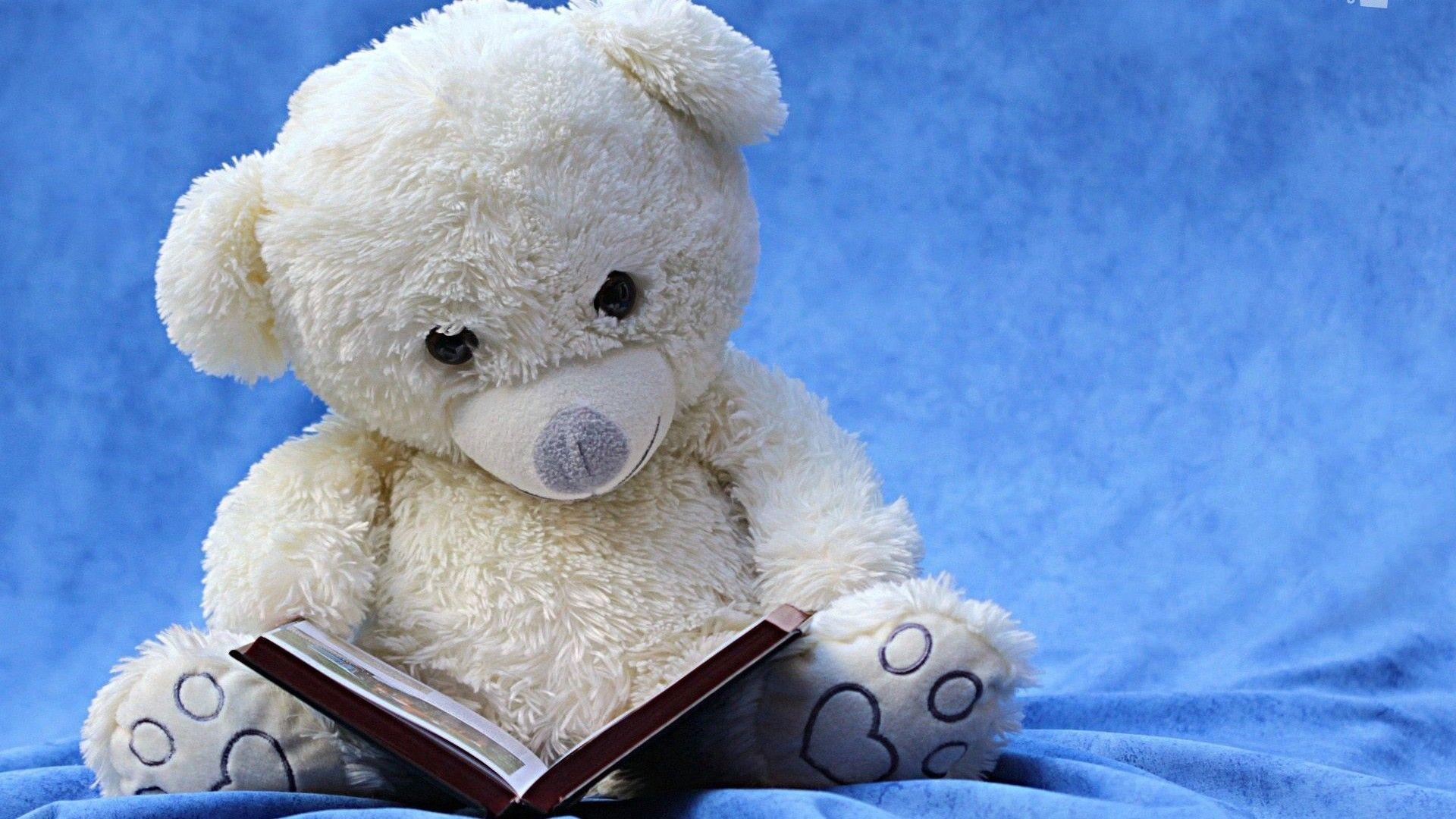 1920x1080 Teddy Bear Background Wallpaper HD Live Wallpaper HD