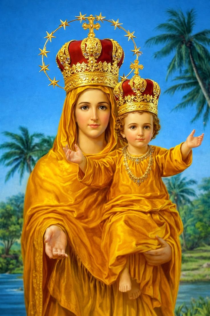 736x1104 Annai vellankanni matha ideas. mother mary image, mother mary, jesus and mary picture