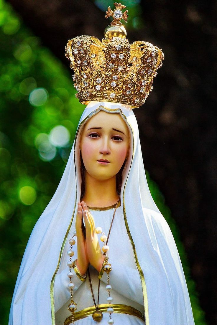 736x1103 Velankanni matha image HD. Our lady of velankanni image, Mary matha HD wallpaper, Maria the