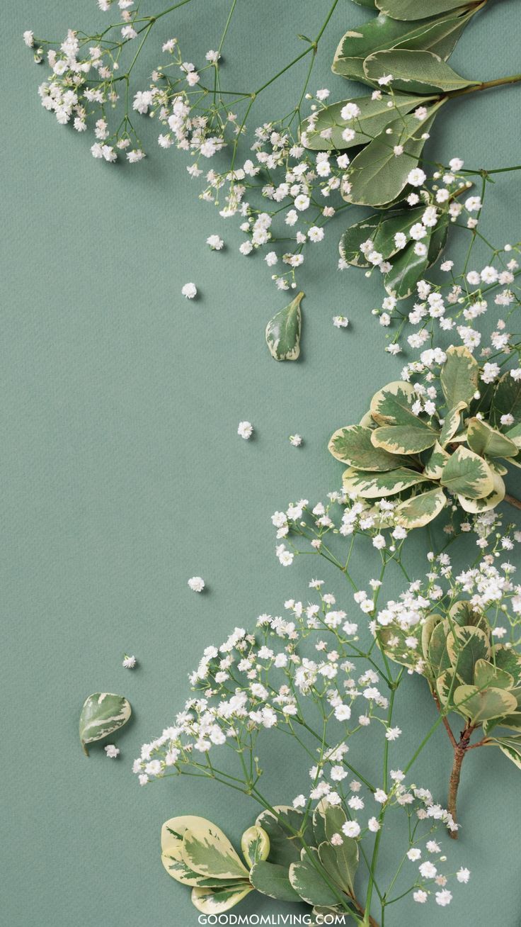 736x1308 Sage Green Wallpaper for Phone HD