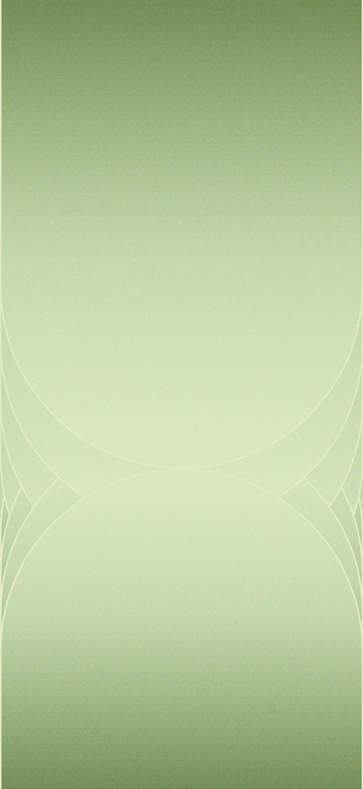 1206x2622 Self Made Wallpaper For IPhone 17 Sage