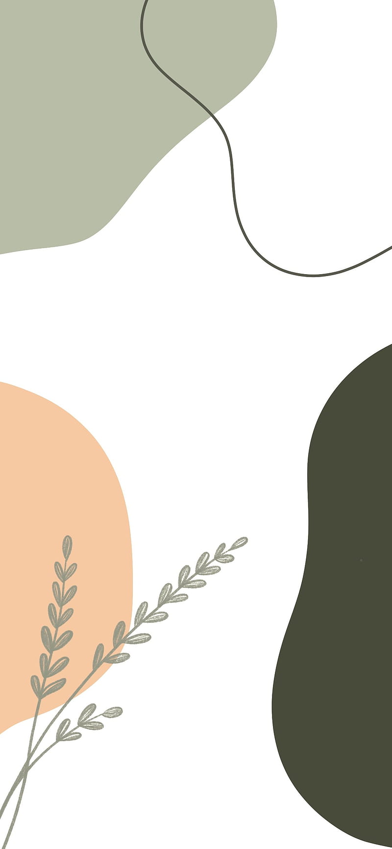 800x1731 Sage Plant Simple Abstract iPhone. Simple phone, iphone boho, Simple iphone, HD phone wallpaper