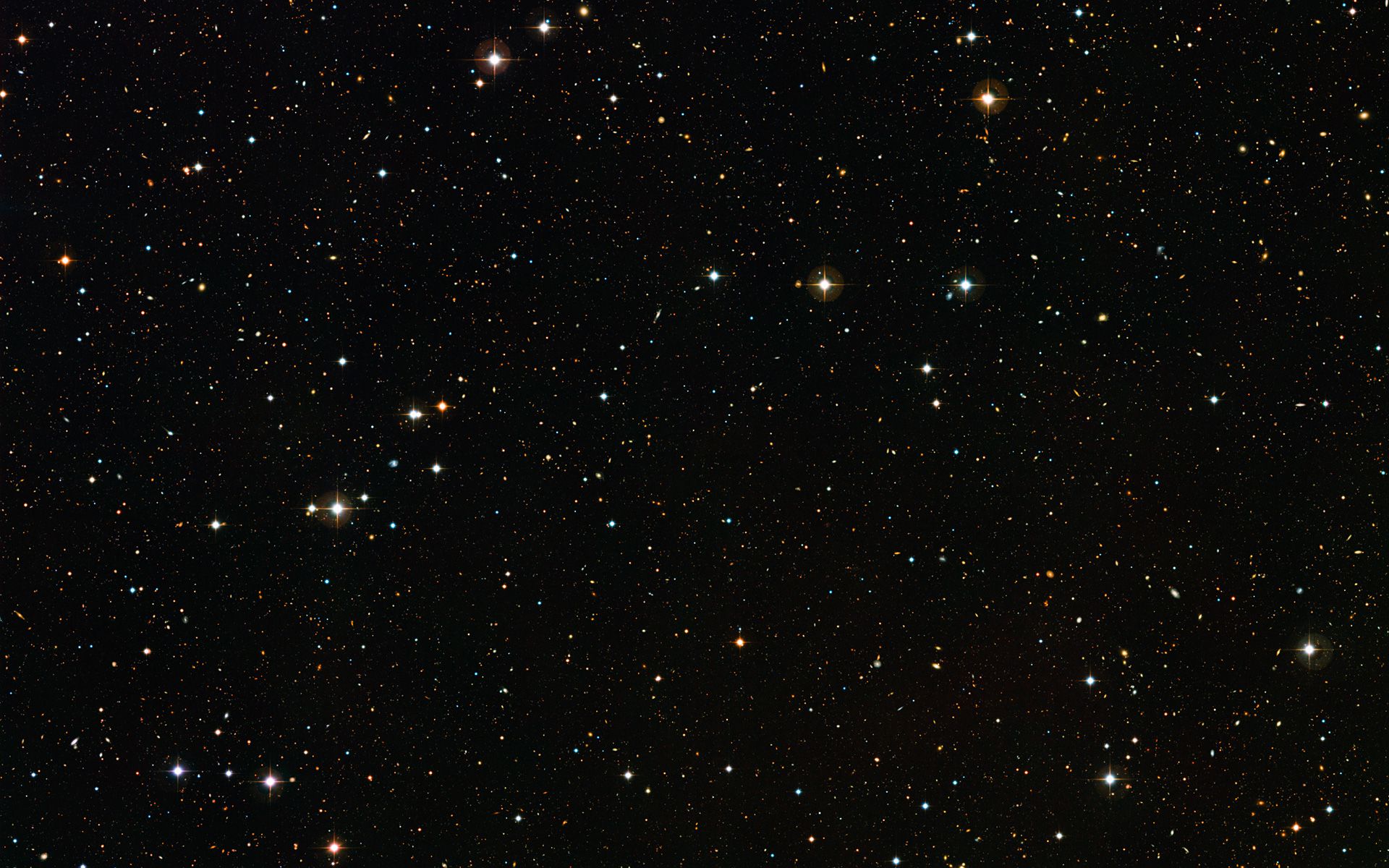 1920x1200 A Deep Look Wallpaper