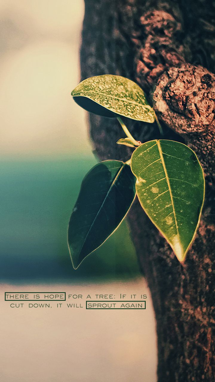 720x1280 There is Hope!