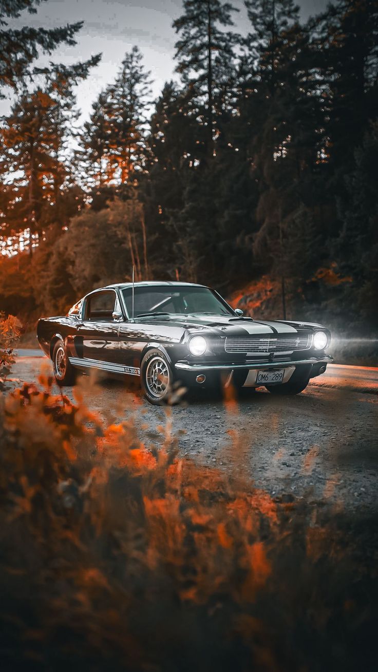 736x1308 Autumn Mustang Car Wallpaper