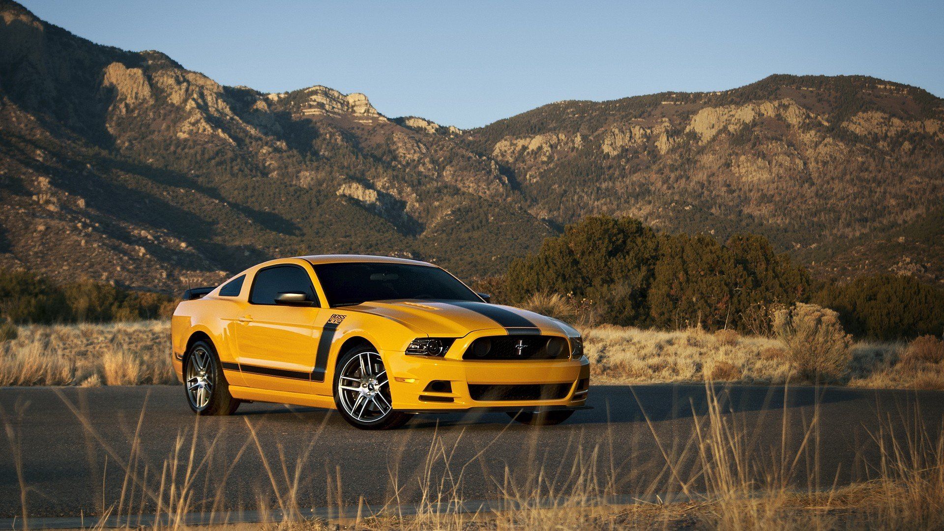 1920x1080 mountains, Nature, Cars, Ford, Mustang, Stripes, Yellow, Cars, Muscle, Car, Boss, 02mustang, Boss Wallpaper HD / Desktop and Mobile Background