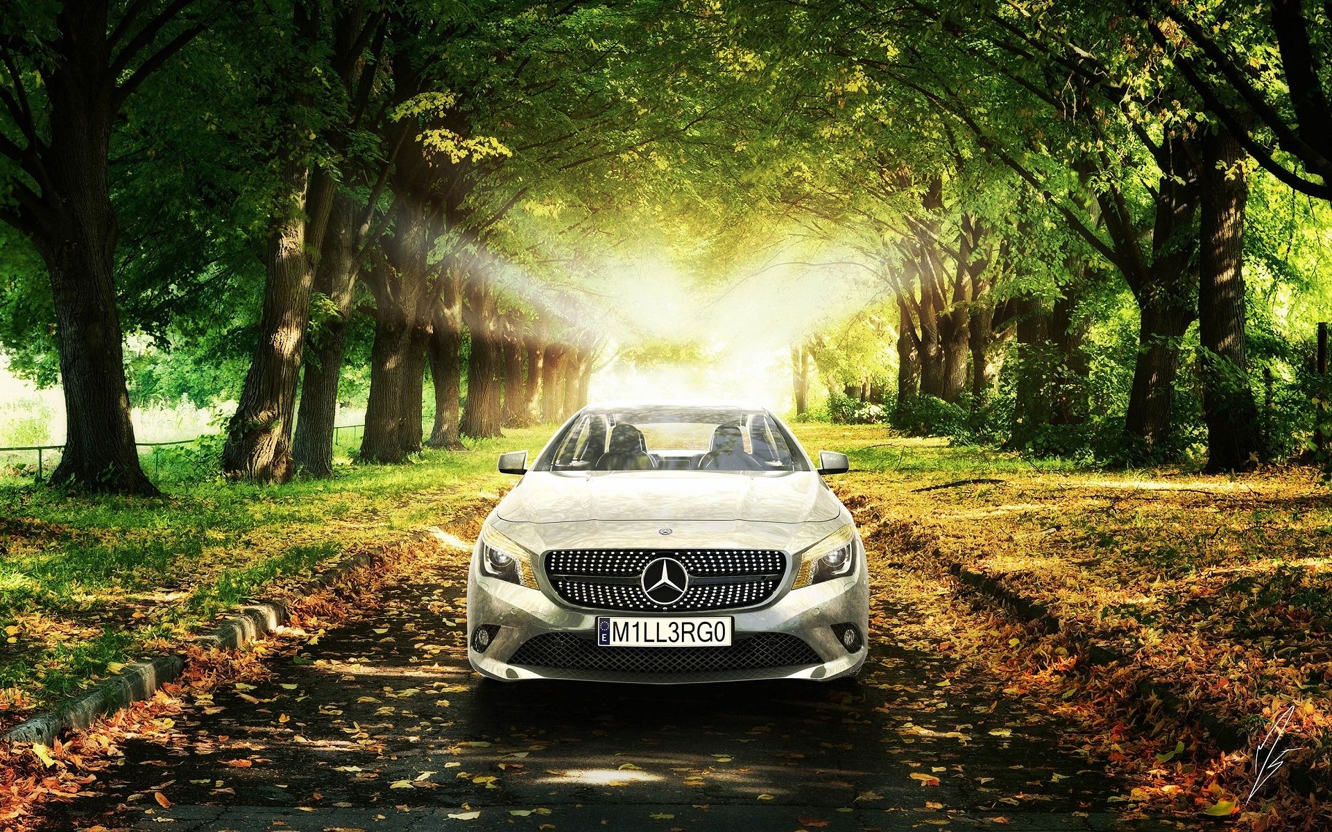 1920x1200 Wallpaper Car, Grass, Leaves, The Sun, Trees, Mercedes Benz, Class, Grass For Mobile And Desktop, Section Mercedes, Resolution 1920x1200