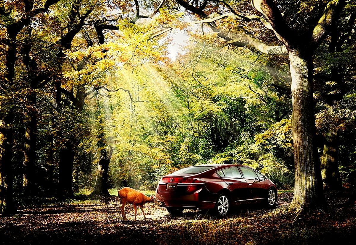 1200x825 Wonderful Nature, Cars, Autumn background photo. Download Best Free pics