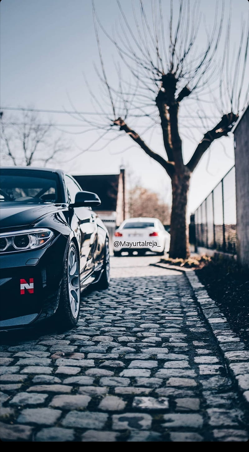 800x1453 Car background, carros, love, motors, muscle, nature, old, skyline, esports, HD phone wallpaper