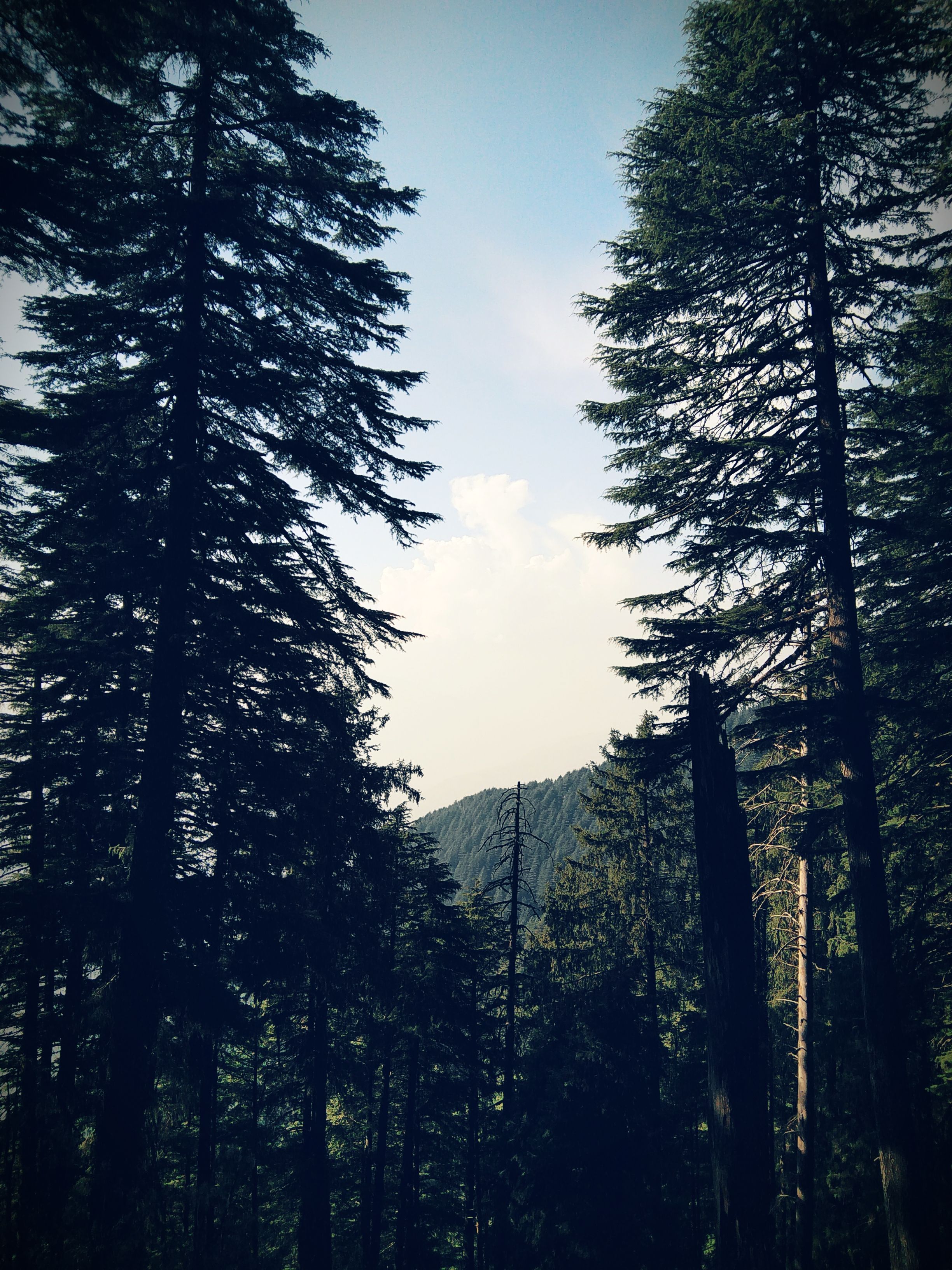 2448x3264 Sheelam Para Bhushnam Photo, Download The BEST Free Sheelam Para Bhushnam & HD Image