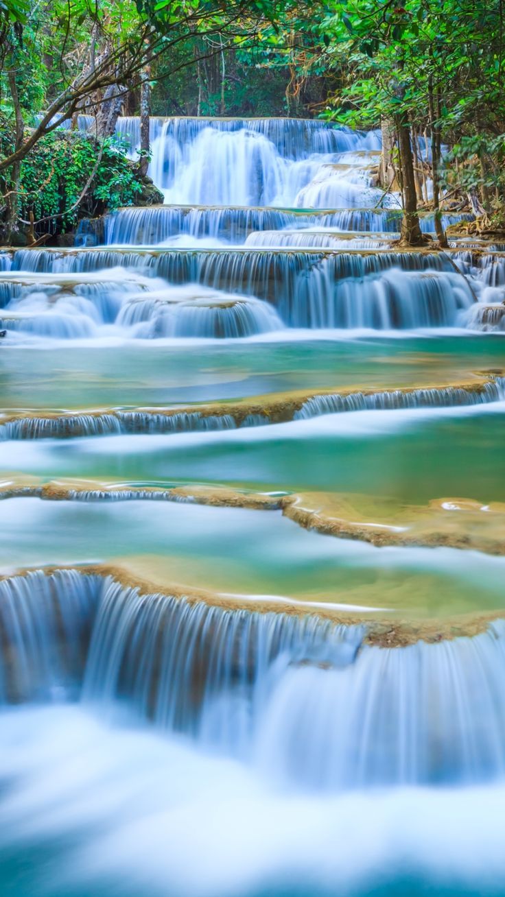 736x1308 Wallpaper Wallpaper For Mobile Wallpaper & Background Download