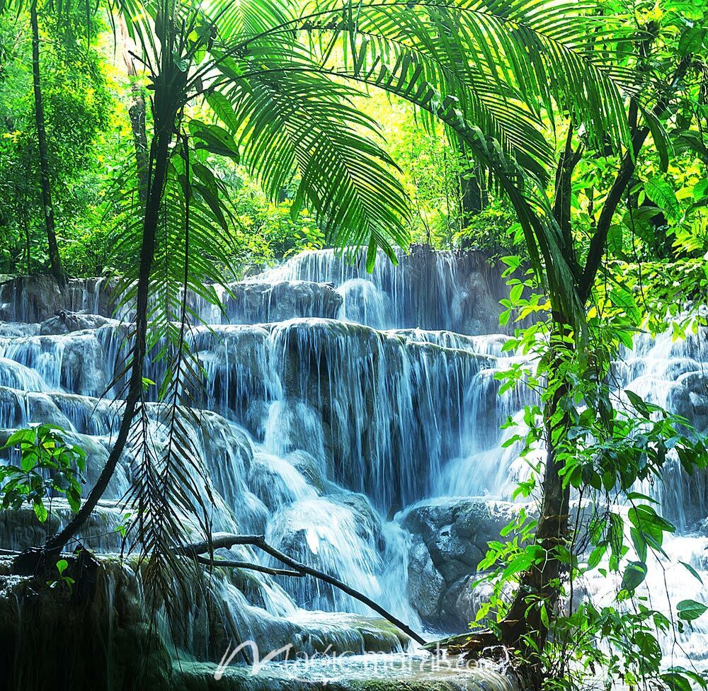 1000x976 Tropical Waterfall