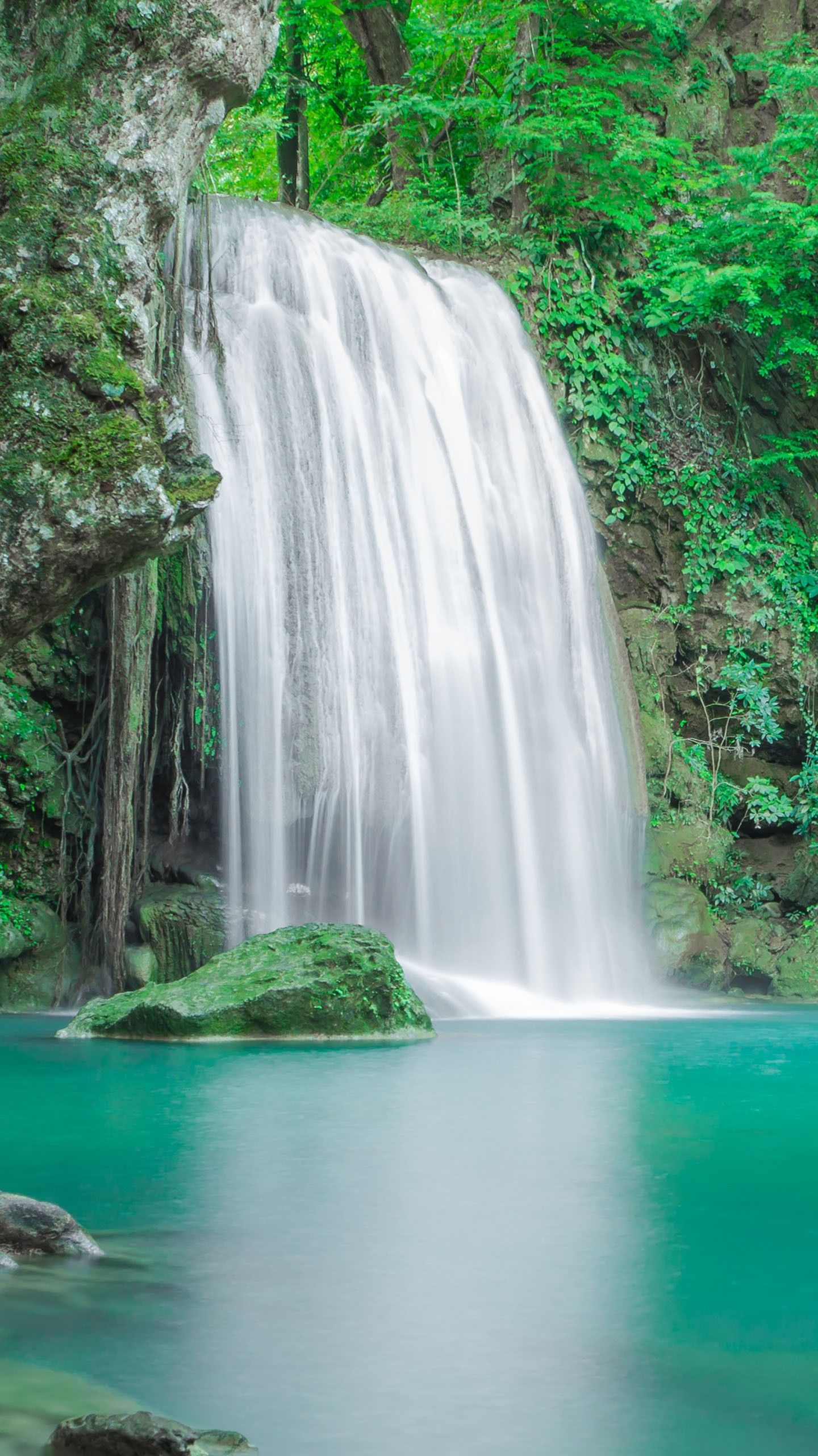 1440x2560 Beautiful Waterfall From Rock Pouring On Lake Between Green Trees Bushes Forest Background 4K HD Nature Wallpaper