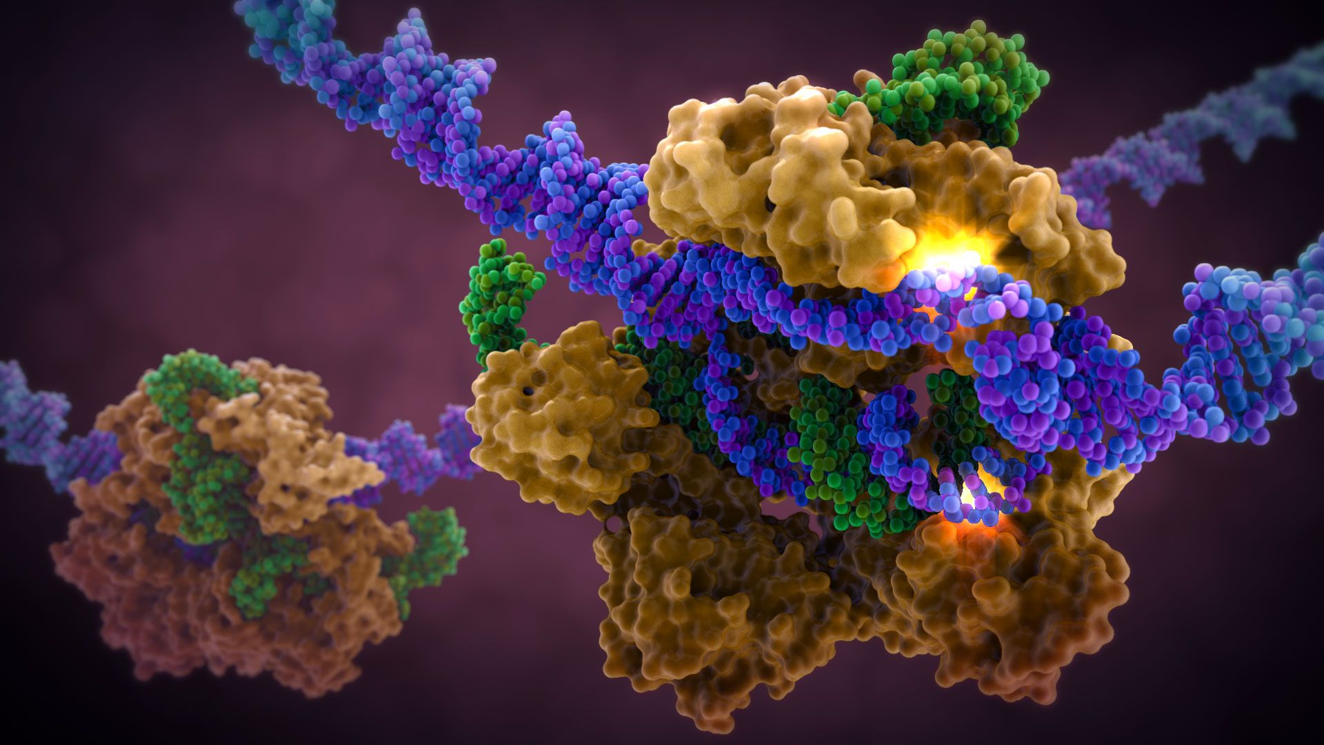 1920x1080 CRISPR Cas9 Gene Editing: Scientific Illustration & Scientific Video Animation & Illustration