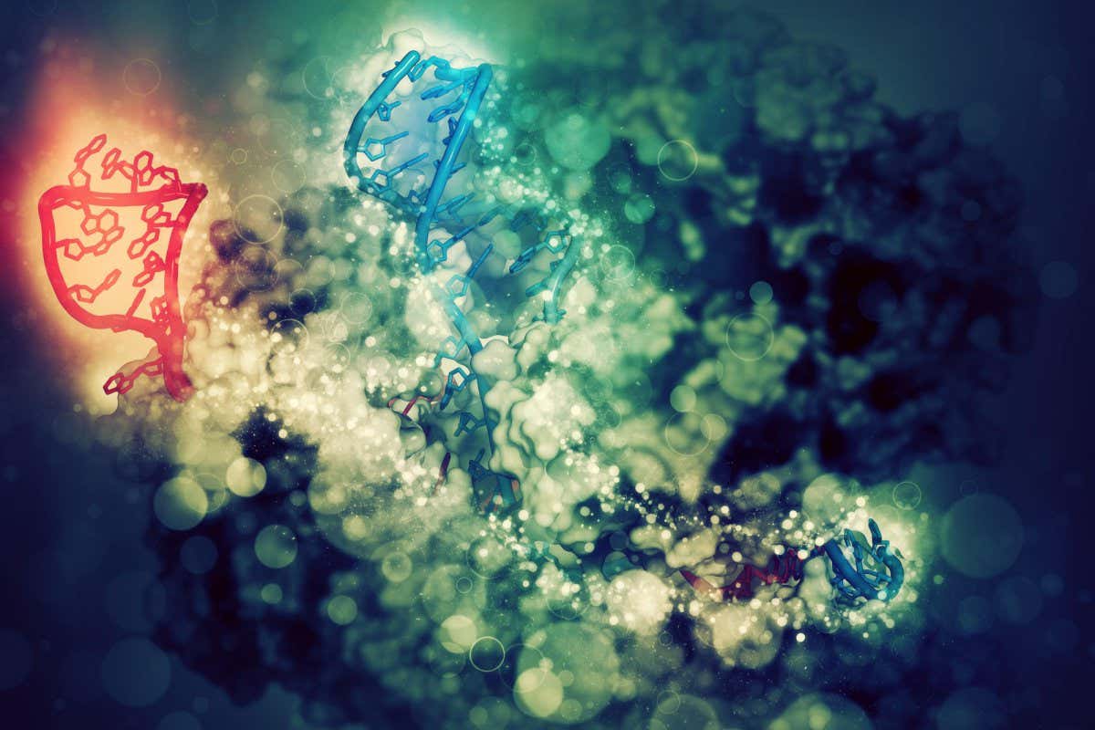 1200x800 CRISPR: 'Softer' form of gene editing technique may be more accurate
