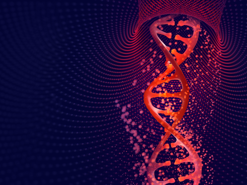 1024x768 What Is Gene Editing?