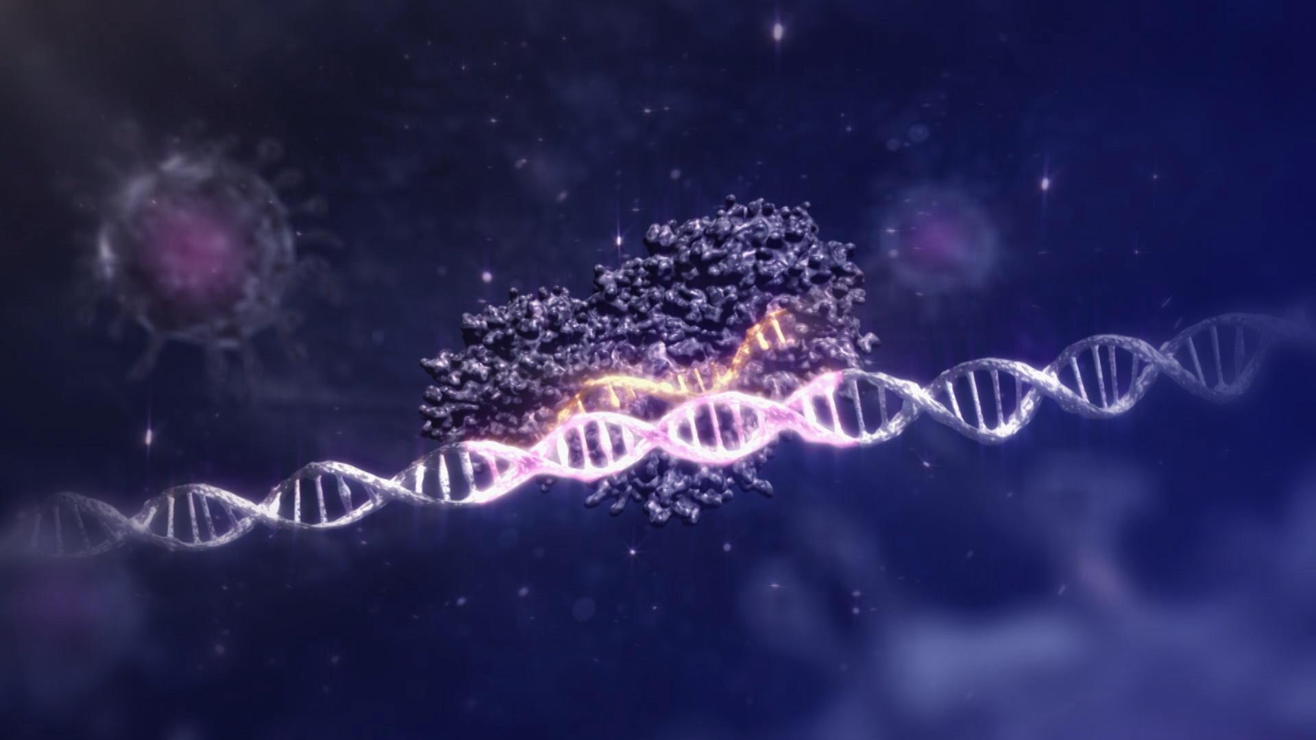 1920x1080 Scientists Capture Image Of CRISPR Cas9 In Action