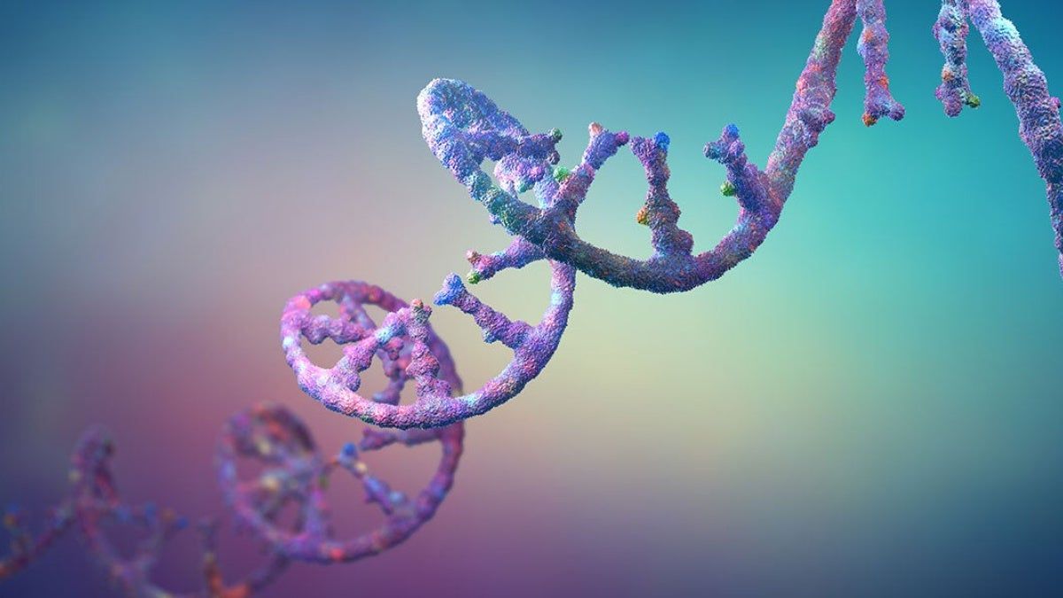 1200x675 Gene editing improved with chemical process. CWRU Newsroom. Case Western Reserve University