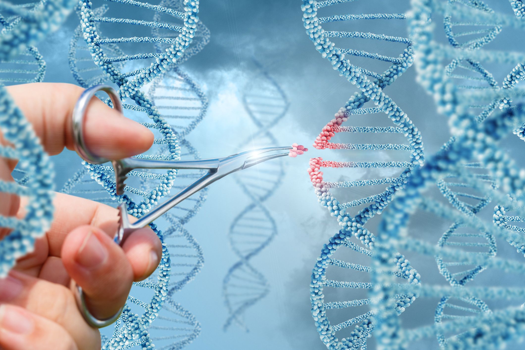 2121x1414 Gene Editing Tools, Reversing Diabetes (Abstract Science: Nov. 13– 17)