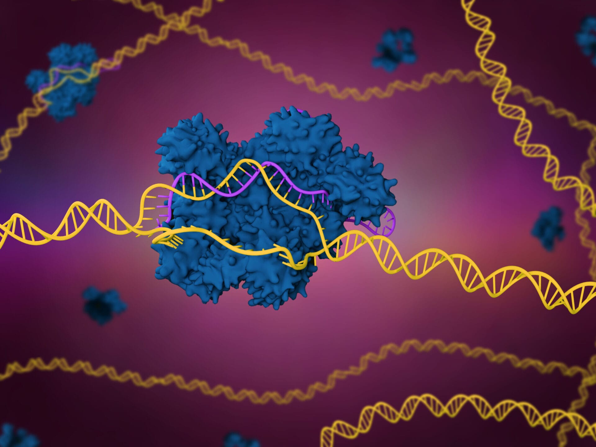1920x1440 What Is CRISPR Cas9?. How Does CRISPR Cas9 Work?