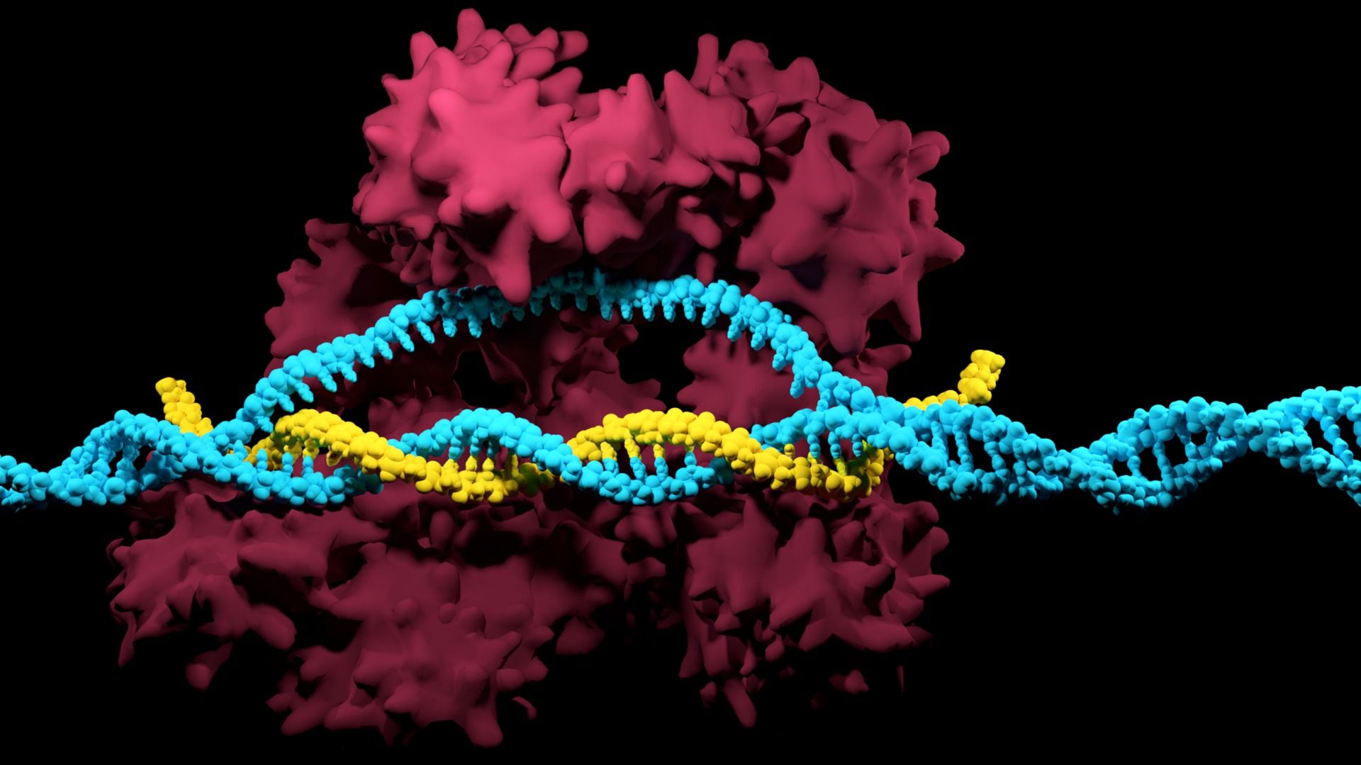 1920x1080 A Comprehensive Guide on CRISPR Methods