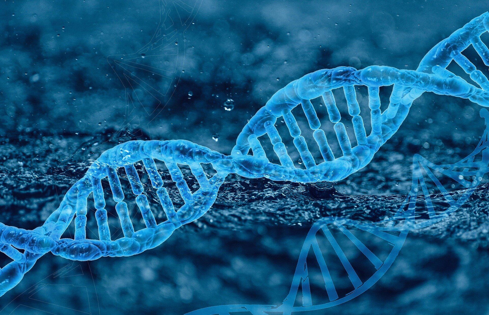 1920x1237 Study shows familiarity with gene editing increases approval of the safety of GMOs