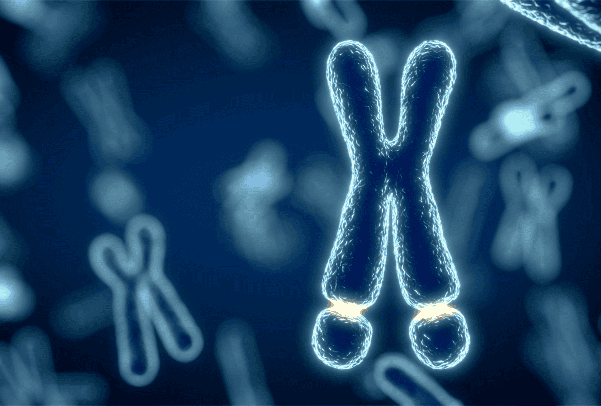 1200x811 New Gene Editing Method Flags Fragile X Mutation For Repair. The Transmitter: Neuroscience News And Perspectives