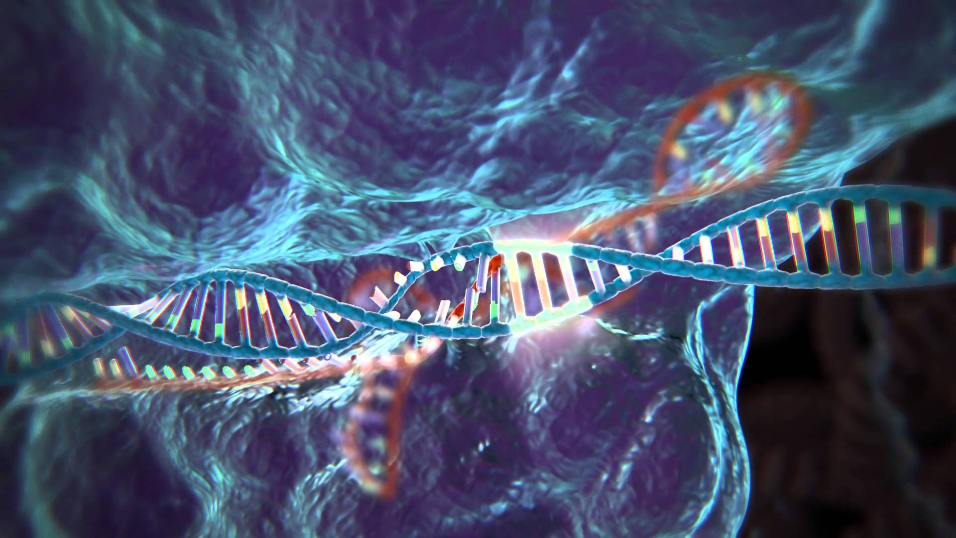 1920x1080 The Age Of Gene Editing: Everything You Need To Know About CRISPR Cas9