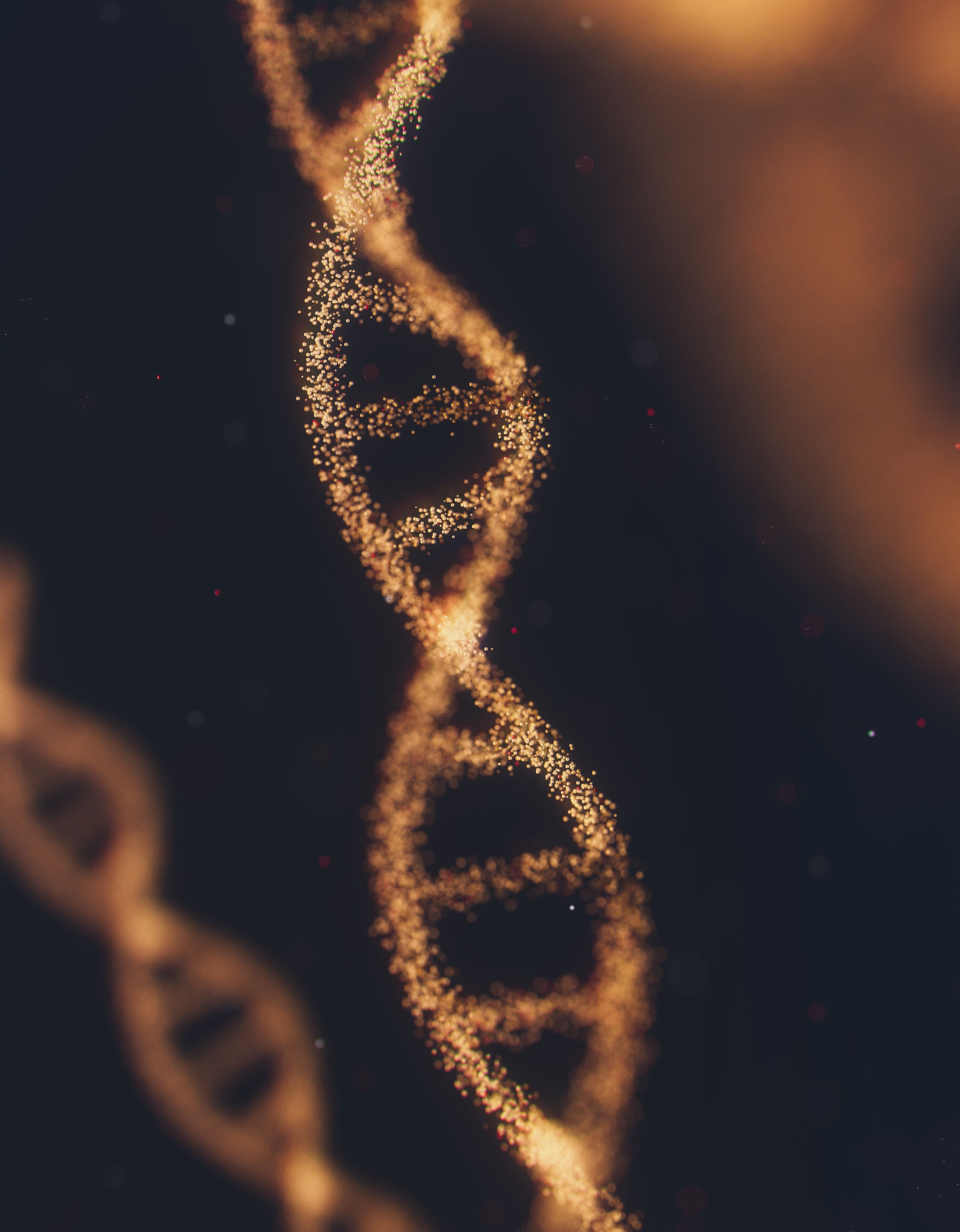 3000x3850 An Exploration Of The Effects Of Gene Editing Technology On Human Identity. Voices In Bioethics