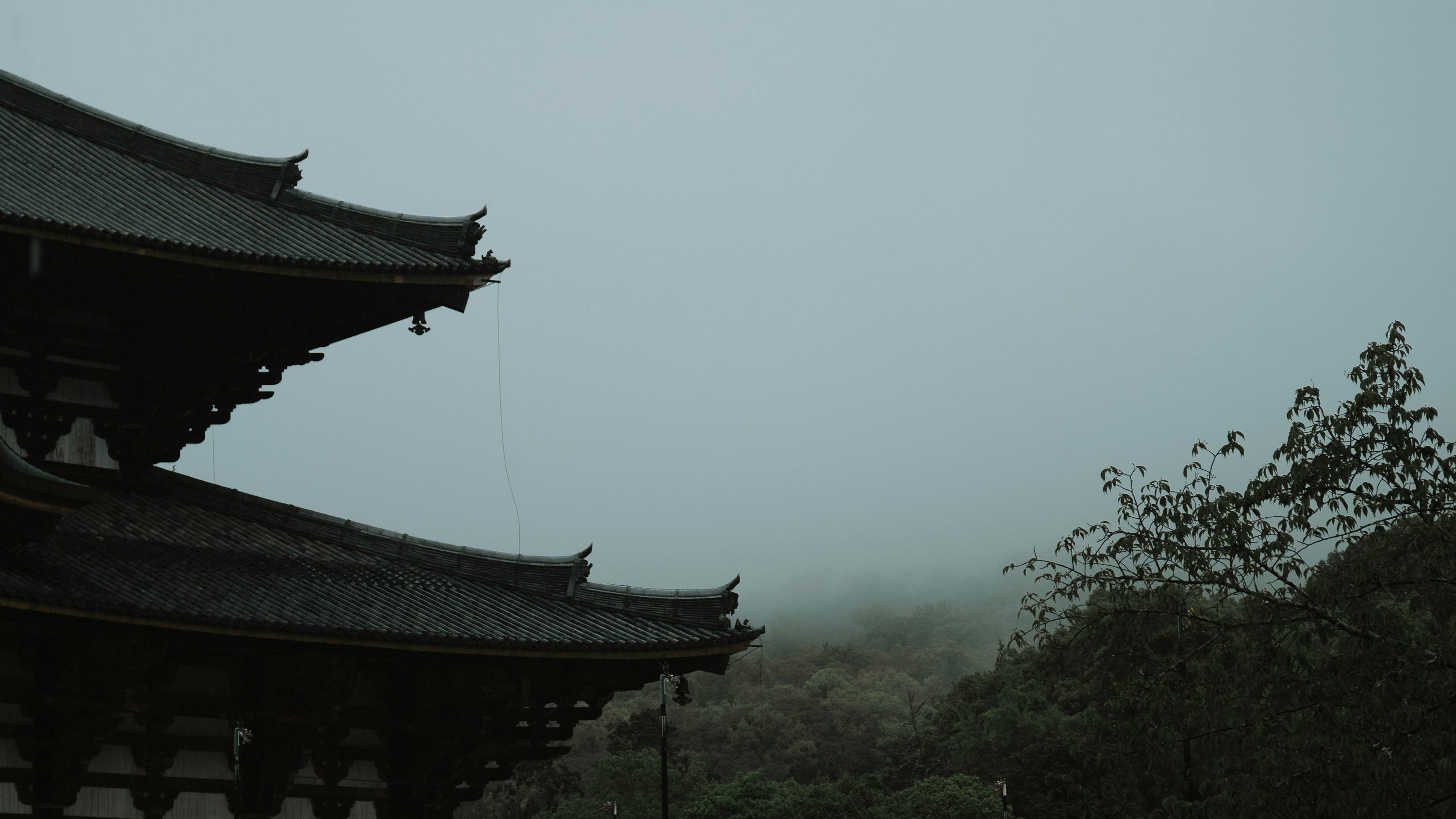 3000x1688 Samurai Wallpaper Picture. Download Free Image