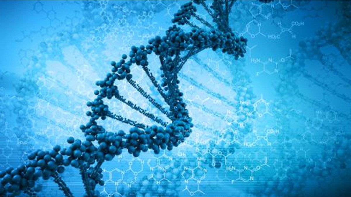 1200x675 Scientists debate boundaries, ethics of human gene editing
