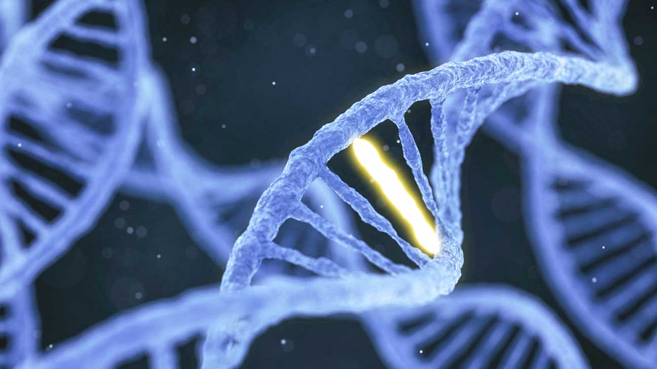 1296x728 Viewpoint: CRISPR is for more than just human gene editing Literacy Project