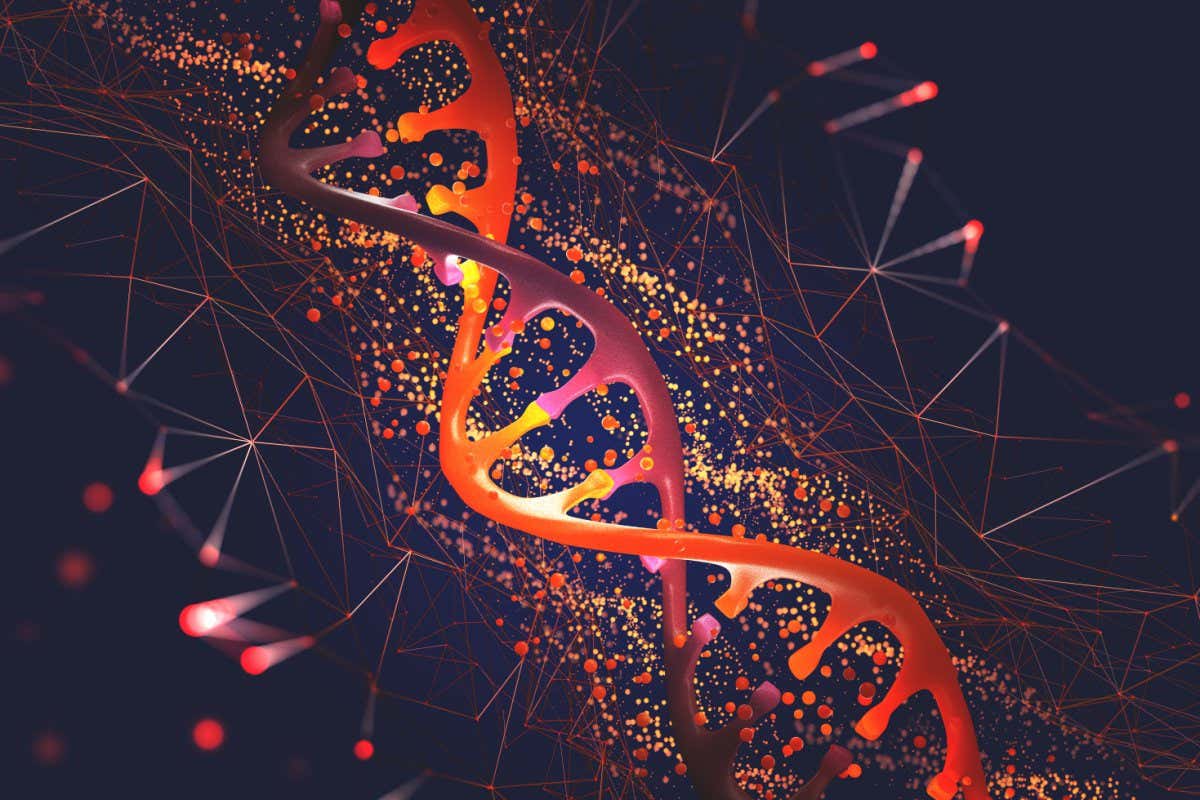1200x800 CRISPR Babies: What's Next For The Gene Edited Children From Trial In China?