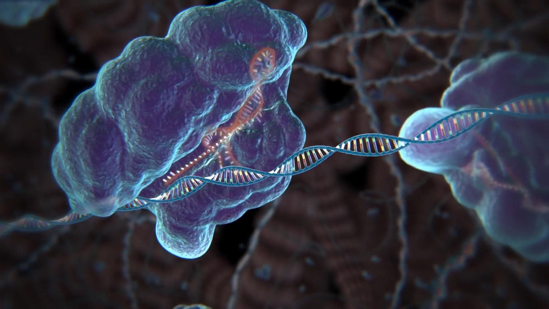 1920x1080 What Is CRISPR Gene Editing?