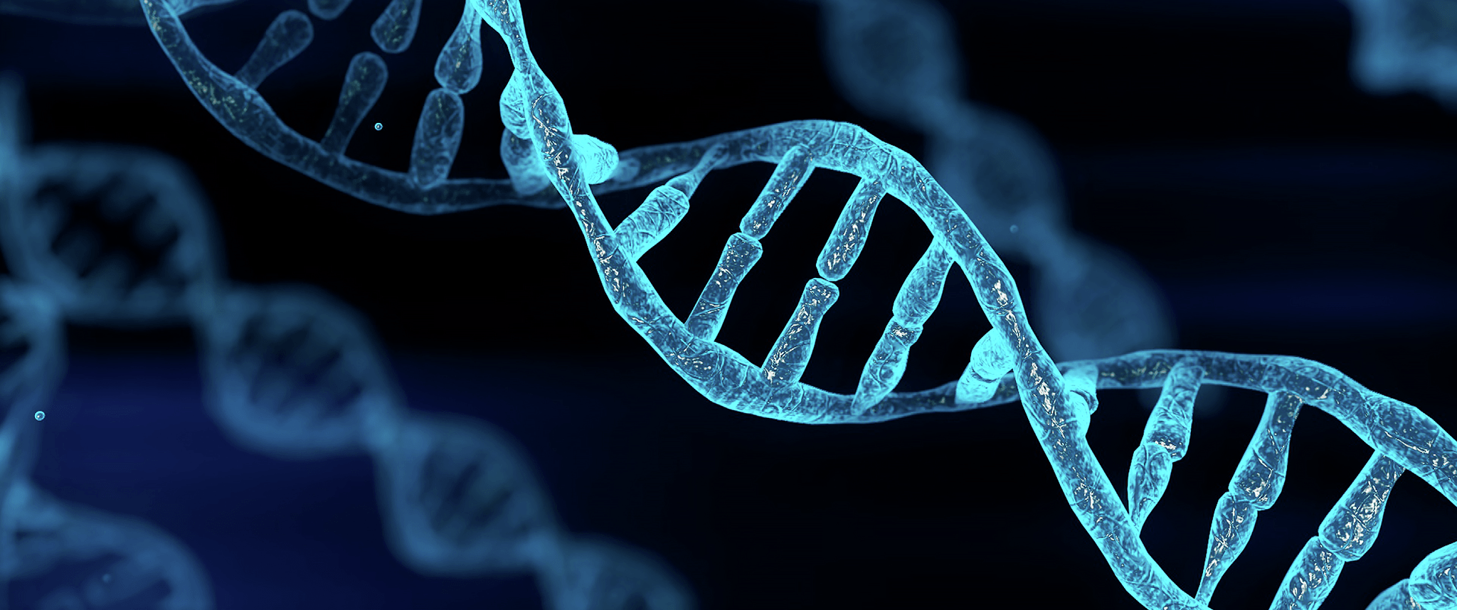 2048x858 Gene editing approaches for Phenylketonuria treatment