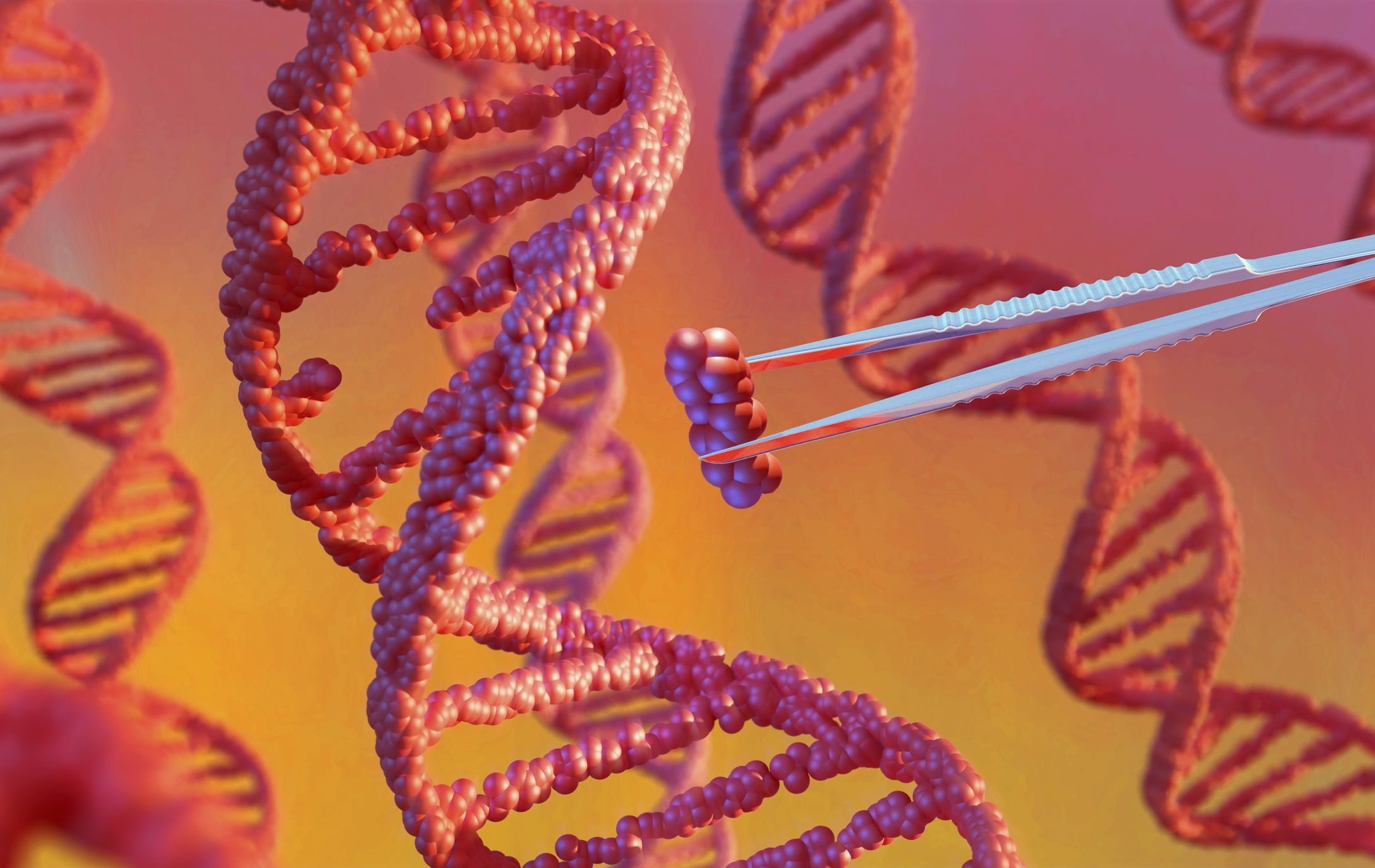 2178x1376 CRISPR Cas9 Alternatives: Cuttingndaries Of Gene Editing