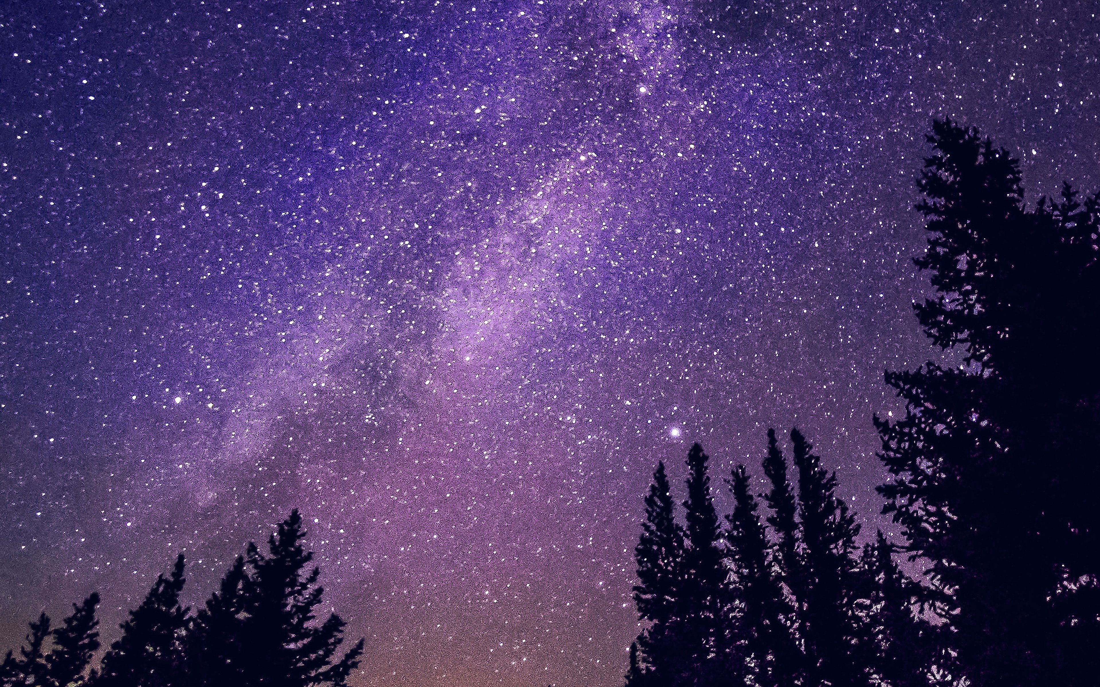 3840x2400 Purple Night 4k Wallpaper