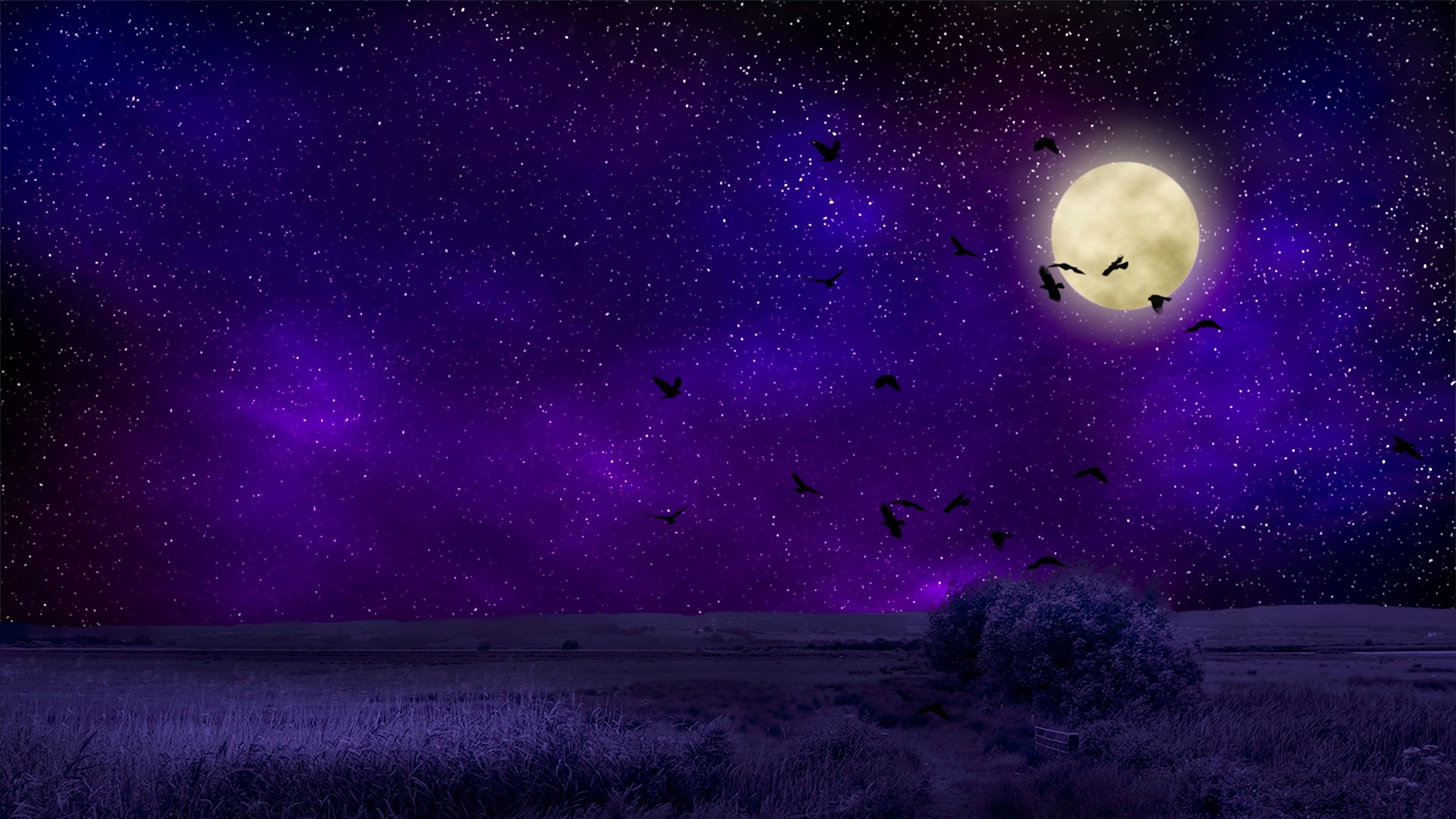 3840x2160 Purple night