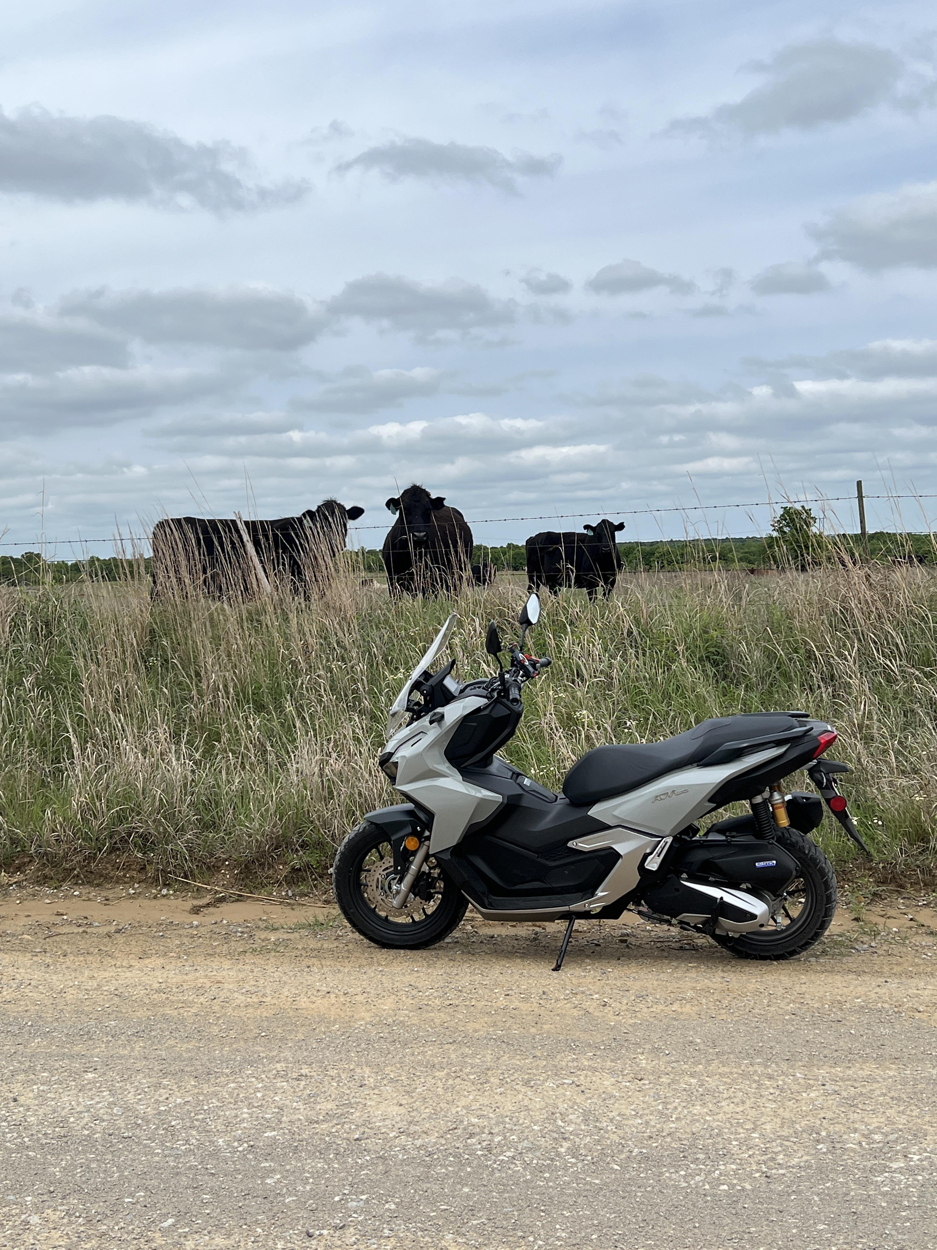 3024x4032 Explored some back roads on the ADV