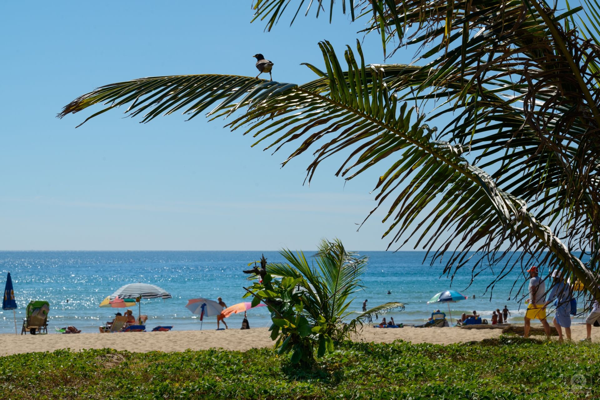 1920x1281 Beach With People Background Quality Free Background
