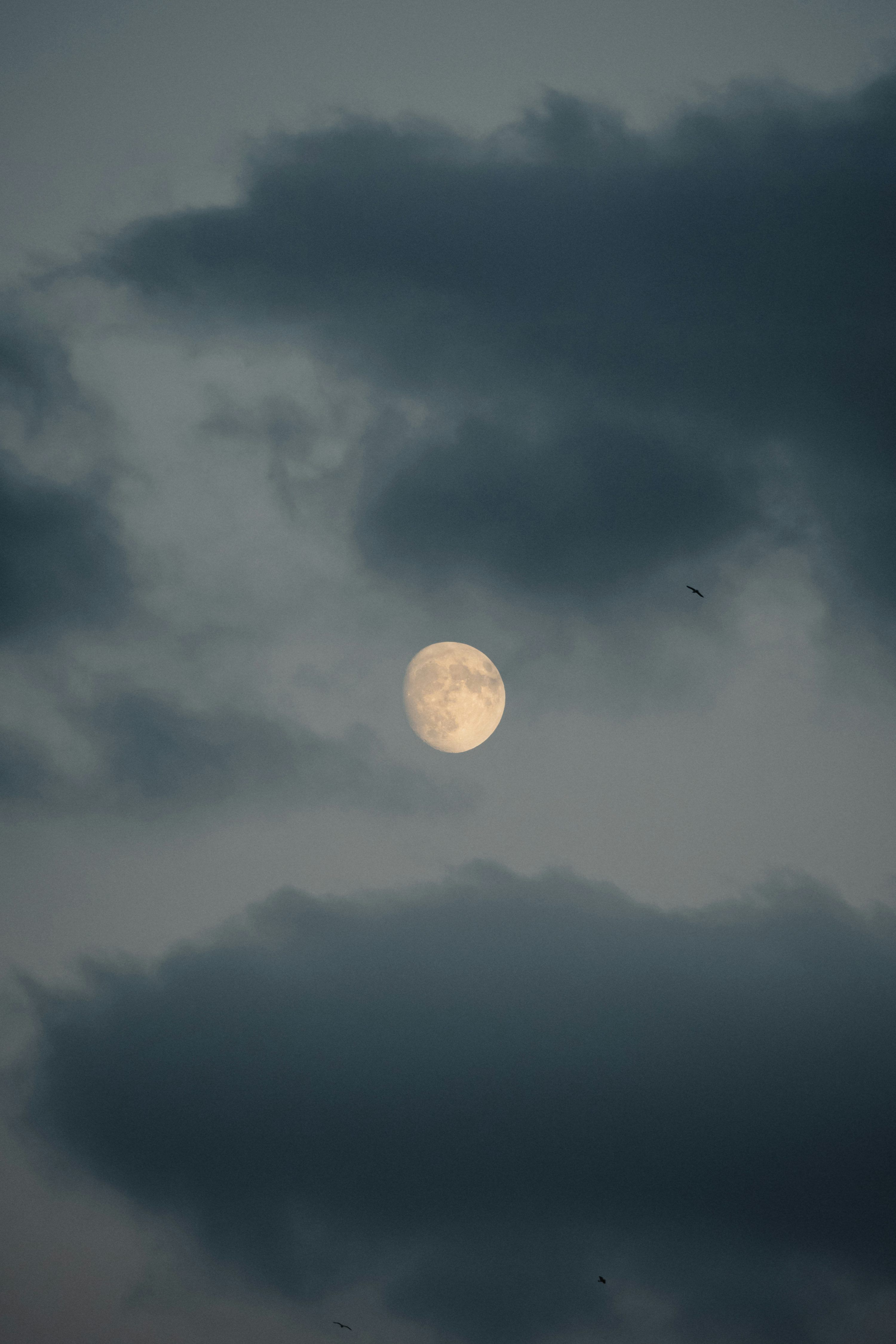 3000x4500 A full moon is seen through a cloudy sky photo