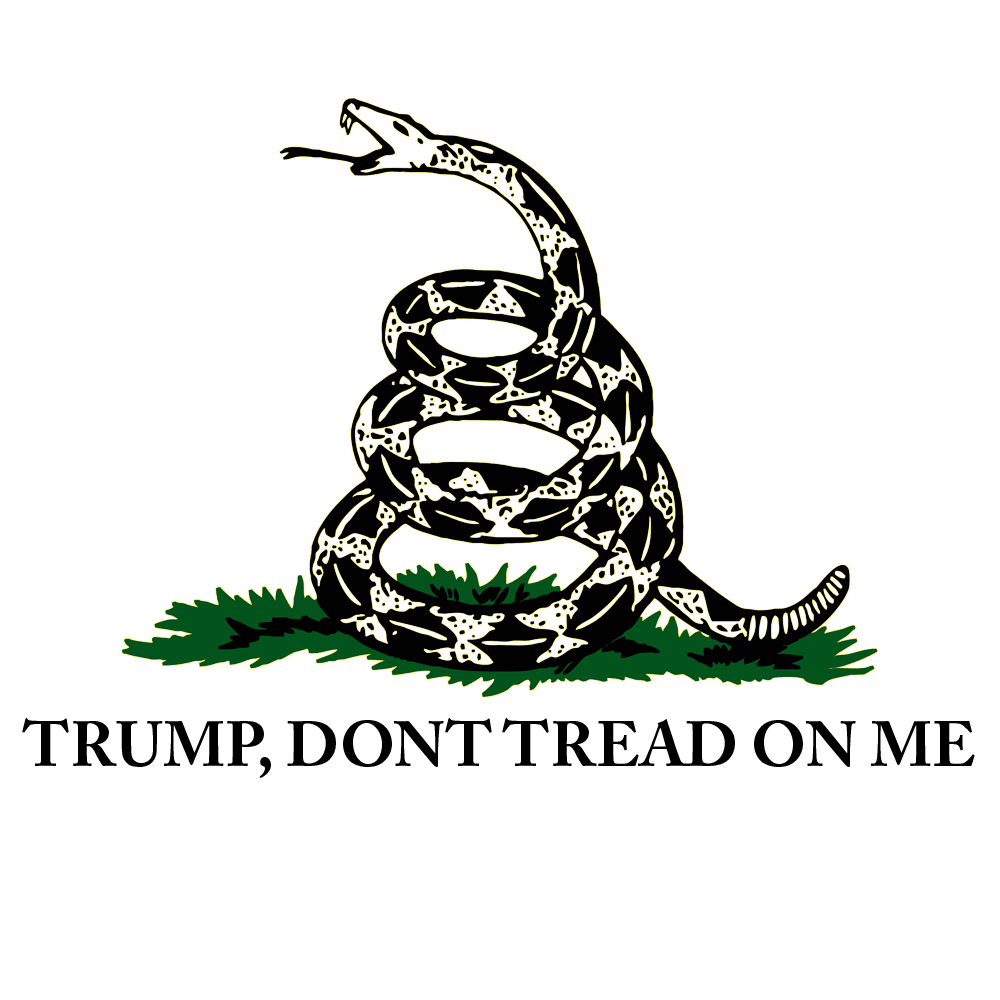 1000x1000 Gadsden flag png 7 PNG Image